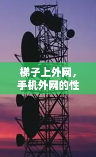 梯子上外网,手机外网的性价比之选 梯子上外网,手机外网的性价比之选