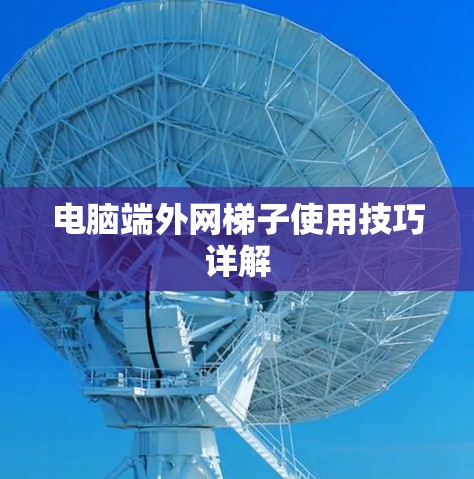 电脑端外网梯子使用技巧详解