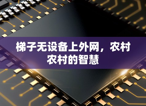 梯子无设备上外网,农村农村的智慧 梯子无设备上外网,农村农村的智慧