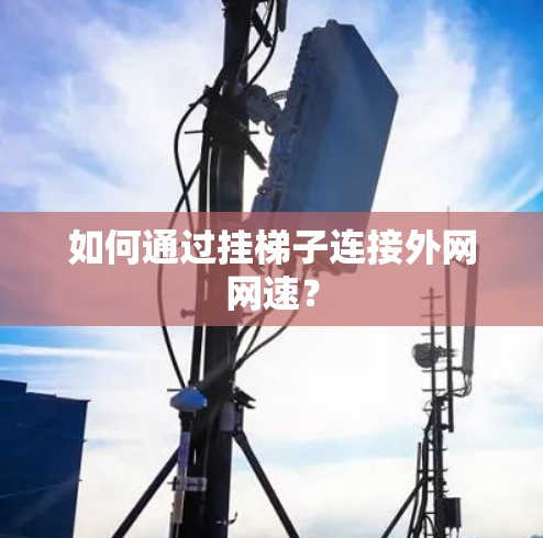 如何通过挂梯子连接外网网速？