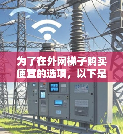 为了在外网梯子购买便宜的选项,以下是一些步骤和建议 为了在外网梯子购买便宜的选项,以下是一些步骤和建议