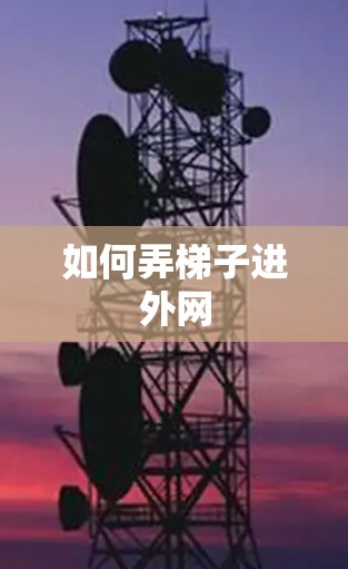如何弄梯子进外网 如何弄梯子进外网