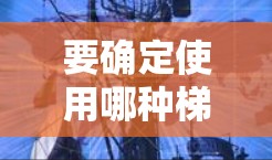 要确定使用哪种梯子来安装外网电视,取决于电视的位置和所在环境。以下是一些建议 要确定使用哪种梯子来安装外网电视,取决于电视的位置和所在环境。以下是一些建议