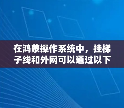 在鸿蒙操作系统中，挂梯子线和外网可以通过以下步骤实现