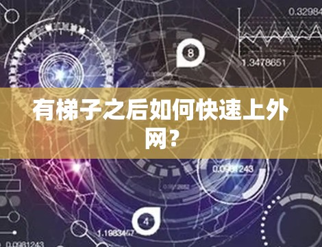 有梯子之后如何快速上外网？