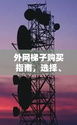 外网梯子购买指南,选择、购买、使用 外网梯子购买指南,选择、购买、使用
