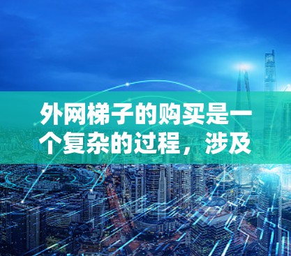 外网梯子的购买是一个复杂的过程,涉及多个因素,以下是一步步的指南 外网梯子的购买是一个复杂的过程,涉及多个因素,以下是一步步的指南