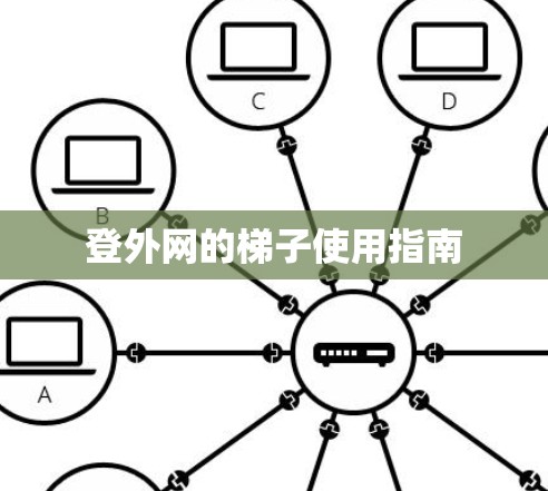 登外网的梯子使用指南