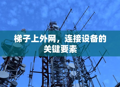 梯子上外网，连接设备的关键要素