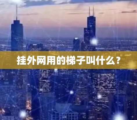 挂外网用的梯子叫什么? 挂外网用的梯子叫什么?