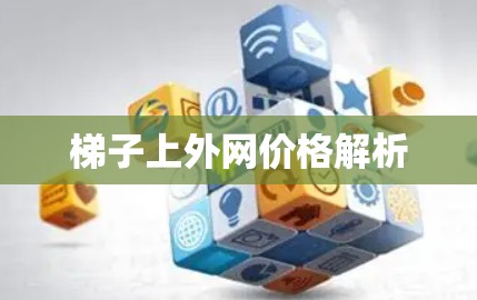 梯子上外网价格解析 梯子上外网价格解析