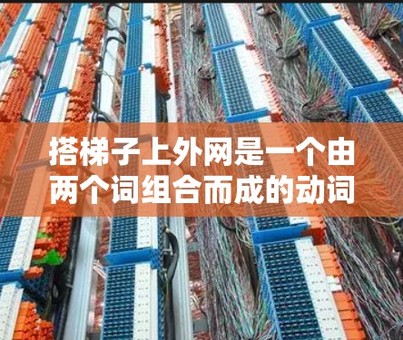 搭梯子上外网是一个由两个词组合而成的动词，意为搭梯子并上某个外网。具体解析如下