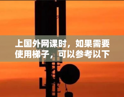上国外网课时，如果需要使用梯子，可以参考以下步骤和考虑因素
