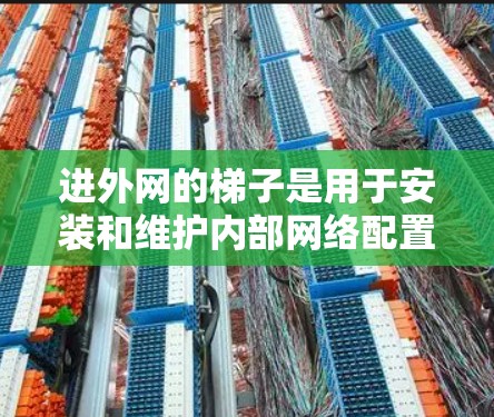 进外网的梯子是用于安装和维护内部网络配置、设备连接和网络管理的工具，其具体类型和安装步骤如下
