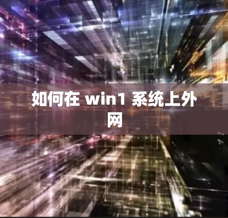 如何在 win1 系统上外网