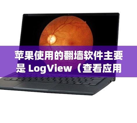 苹果使用的翻墙软件主要是 LogView（查看应用）