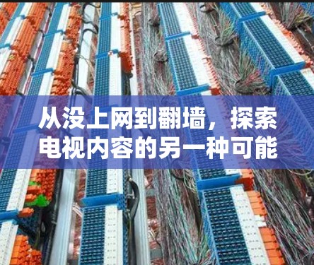 从没上网到翻墙,探索电视内容的另一种可能 从没上网到翻墙,探索电视内容的另一种可能