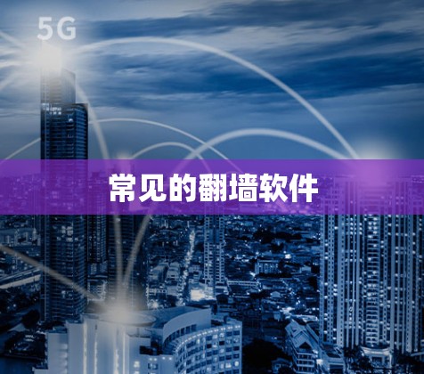 常见的翻墙软件 常见的翻墙软件