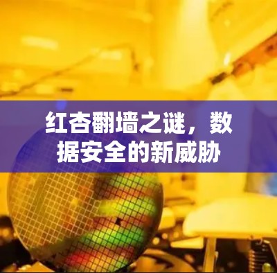 红杏翻墙之谜,数据安全的新威胁 红杏翻墙之谜,数据安全的新威胁