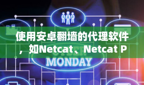 使用安卓翻墙的代理软件,如Netcat、Netcat Pro或Netcat人机交互版,以下是详细的步骤指南 使用安卓翻墙的代理软件,如Netcat、Netcat Pro或Netcat人机交互版,以下是详细的步骤指南
