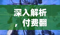 深入解析,付费翻墙软件的崛起与挑战 深入解析,付费翻墙软件的崛起与挑战
