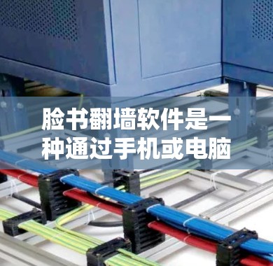 脸书翻墙软件是一种通过手机或电脑浏览器访问其他设备访问的网站的工具，旨在使不同设备之间的访问更灵活。以下是关于该软件的详细信息