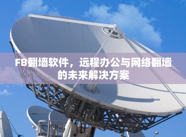 FB翻墙软件,远程办公与网络翻墙的未来解决方案 FB翻墙软件,远程办公与网络翻墙的未来解决方案