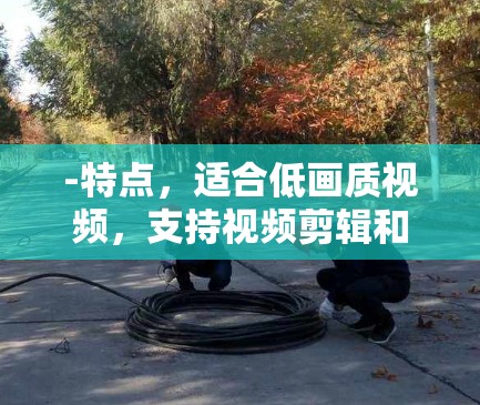 -特点，适合低画质视频，支持视频剪辑和编辑