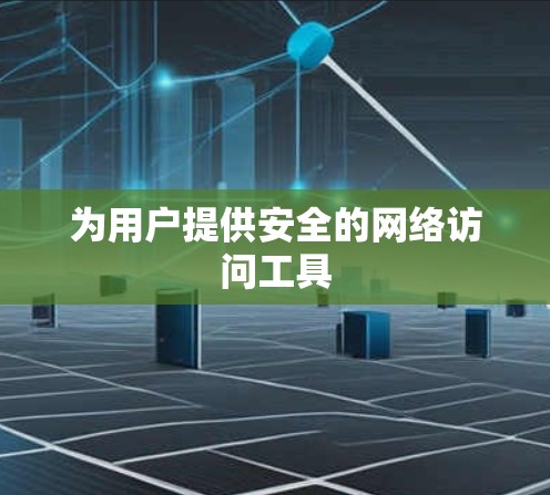 为用户提供安全的网络访问工具 为用户提供安全的网络访问工具