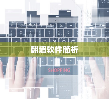 翻墙软件简析 翻墙软件简析