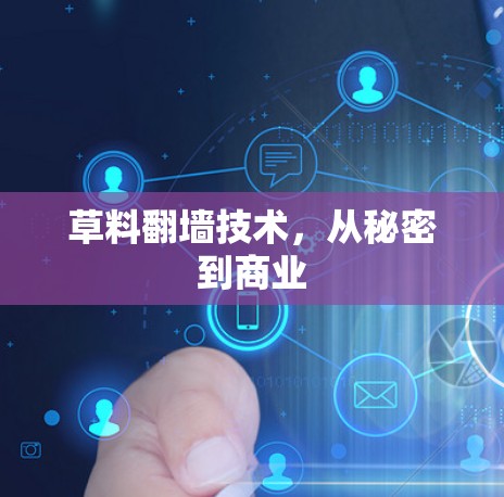 草料翻墙技术,从秘密到商业 草料翻墙技术,从秘密到商业