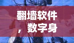 翻墙软件,数字身份的未来 翻墙软件,数字身份的未来