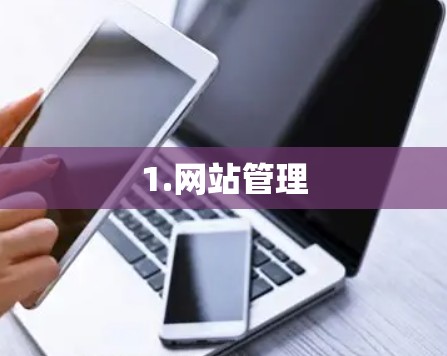 1.网站管理 1.网站管理