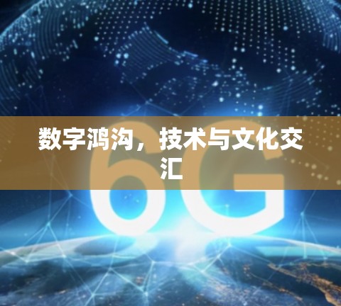 数字鸿沟,技术与文化交汇 数字鸿沟,技术与文化交汇