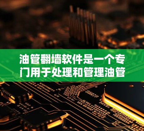 油管翻墙软件是一个专门用于处理和管理油管相关的网络数据或问题的工具。以下是对该软件的详细分析 油管翻墙软件是一个专门用于处理和管理油管相关的网络数据或问题的工具。以下是对该软件的详细分析