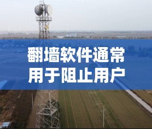 翻墙软件通常用于阻止用户访问被删除或移除的网站，或者修复网络中的恶意插件。以下是关于fifamobile翻墙软件的一些关键信息和解决方案