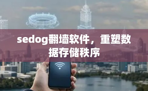 sedog翻墙软件,重塑数据存储秩序 sedog翻墙软件,重塑数据存储秩序