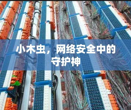 小木虫,网络安全中的守护神 小木虫,网络安全中的守护神