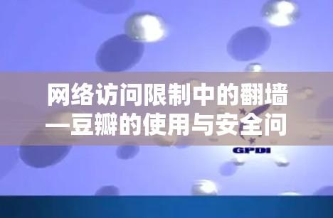网络访问限制中的翻墙—豆瓣的使用与安全问题 网络访问限制中的翻墙—豆瓣的使用与安全问题