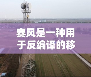赛风是一种用于反编译的移动设备工具，通过翻墙将源代码移动到设备上，然后编译并运行。以下是赛风的详细介绍
