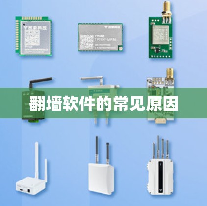 翻墙软件的常见原因 翻墙软件的常见原因