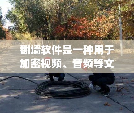 翻墙软件是一种用于加密视频、音频等文件的技术,允许用户在普通设备上观看内容,而不会被限制。常见的翻墙软件包括UPlus、H3B、BlueSpeed等 翻墙软件是一种用于加密视频、音频等文件的技术,允许用户在普通设备上观看内容,而不会被限制。常见的翻墙软件包括UPlus、H3B、BlueSpeed等