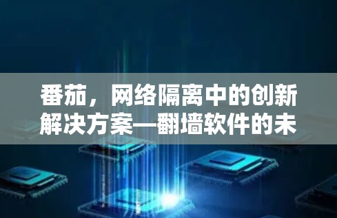 番茄，网络隔离中的创新解决方案—翻墙软件的未来展望