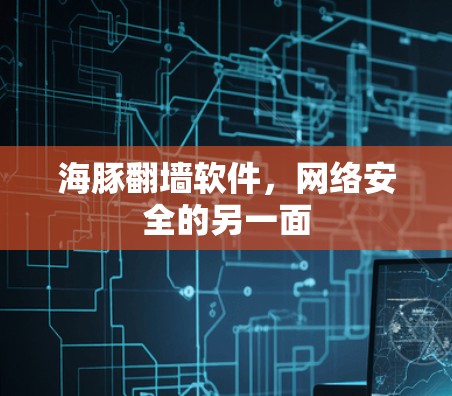 海豚翻墙软件,网络安全的另一面 海豚翻墙软件,网络安全的另一面