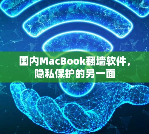 国内MacBook翻墙软件，隐私保护的另一面