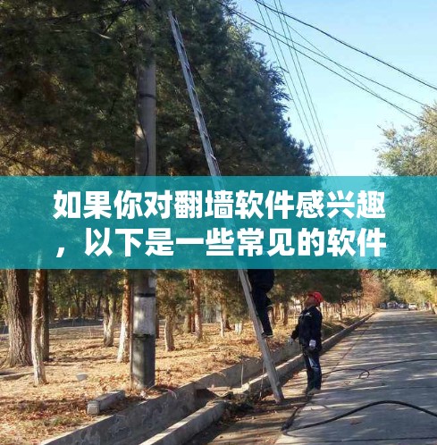 如果你对翻墙软件感兴趣，以下是一些常见的软件推荐，可以帮助你进行IP翻墙