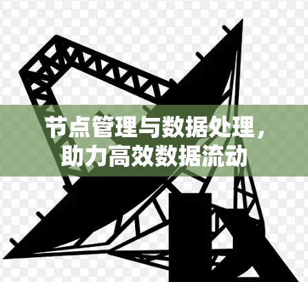 节点管理与数据处理,助力高效数据流动 节点管理与数据处理,助力高效数据流动