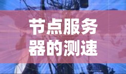 节点服务器的测速排行分析可以帮助我们全面评估服务器性能,找出潜在问题并进行优化。以下是对该过程的总结和建议 节点服务器的测速排行分析可以帮助我们全面评估服务器性能,找出潜在问题并进行优化。以下是对该过程的总结和建议