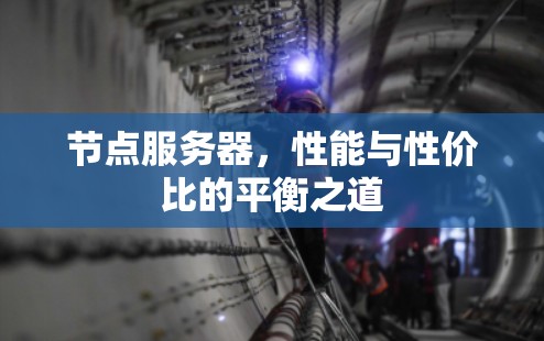 节点服务器,性能与性价比的平衡之道 节点服务器,性能与性价比的平衡之道