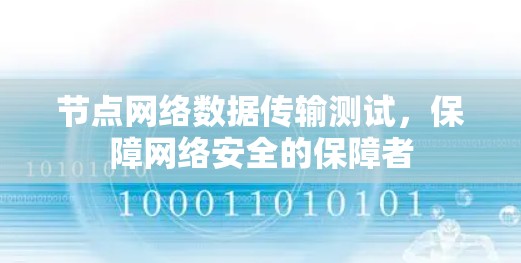 节点网络数据传输测试，保障网络安全的保障者